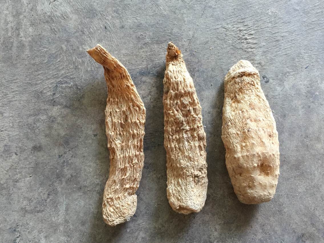 青川野生小天麻 正品特级新货 没熏硫 原生态野生500g 包邮