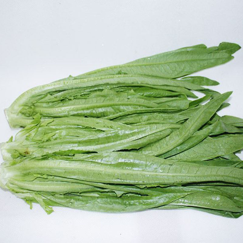 批发 无公害油麦菜 莜麦菜 牛俐生菜 新鲜蔬菜配送 300g 新鲜