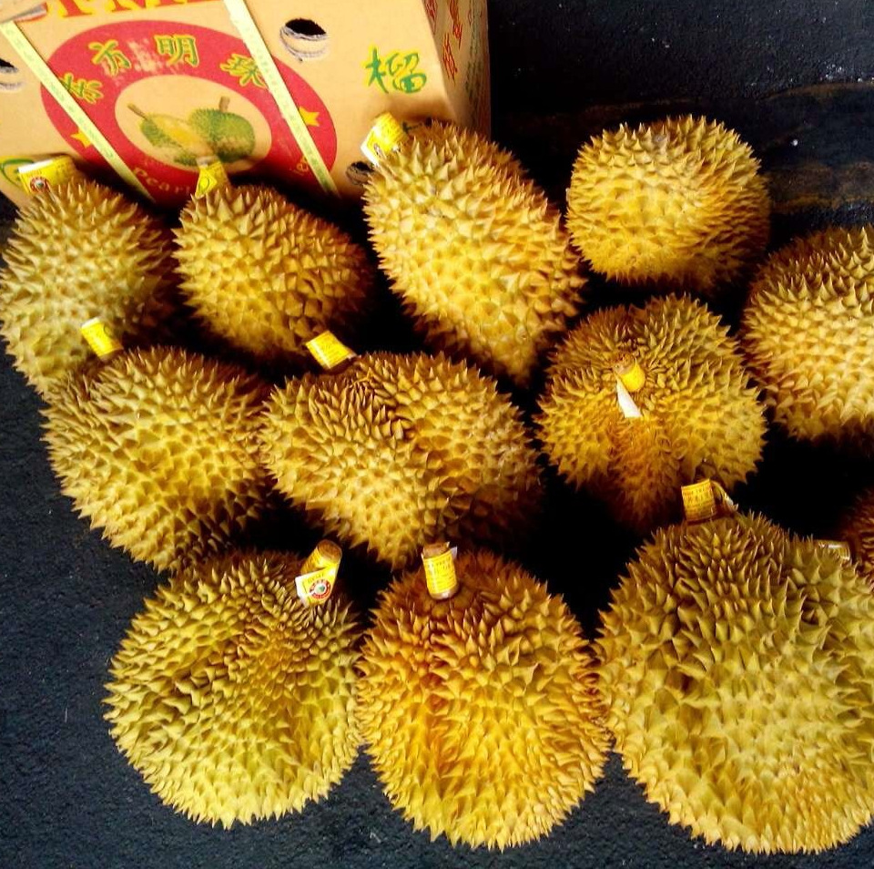 泰国榴莲 金枕头 特级新鲜榴莲批发 广州进口水果批发