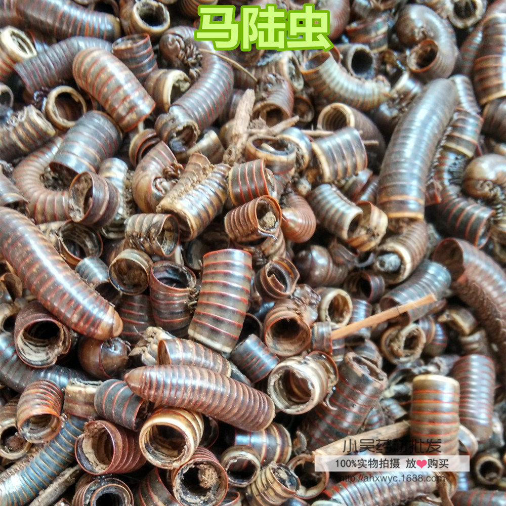 供应马陆(millipede)千足虫,千脚虫,秤杆虫 冷背药材批发全