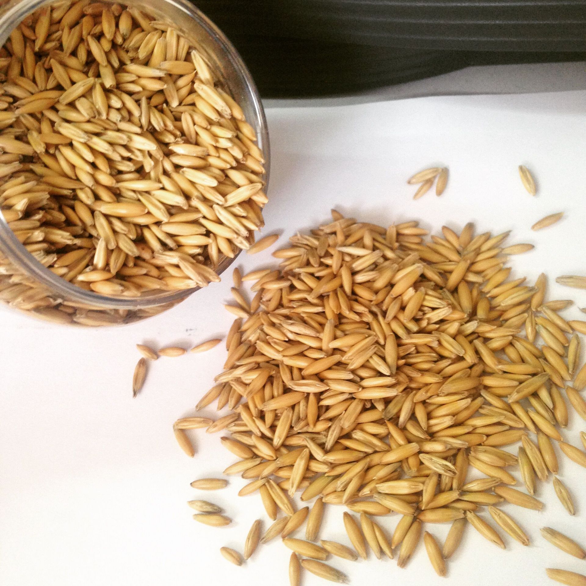 皮燕麦到港现货发货及时价格优惠