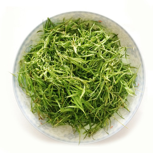 包邮特级野生石竹茶绿茶竹叶青茶叶竹叶茶 去火明目防辐射批发