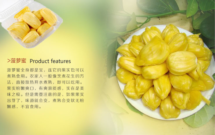 【图】海南马来一号特级菠萝蜜21斤/箱基地直发 新鲜水果 不包邮_猕猴