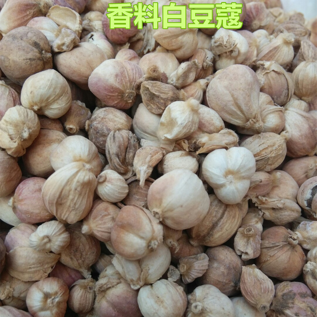 供應白豆蔻,火鍋麻辣燙酸辣粉滷菜必備白豆蔻 品種全 實圖