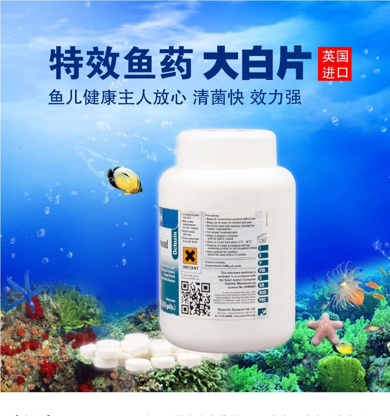 英国waterlife octozin 大白片 头洞 肠炎鱼药 200粒 可散卖 特价
