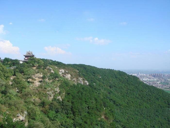 2015春茶新 苏州常熟虞山绿茶常熟特产 虞山一级茗毫茶叶