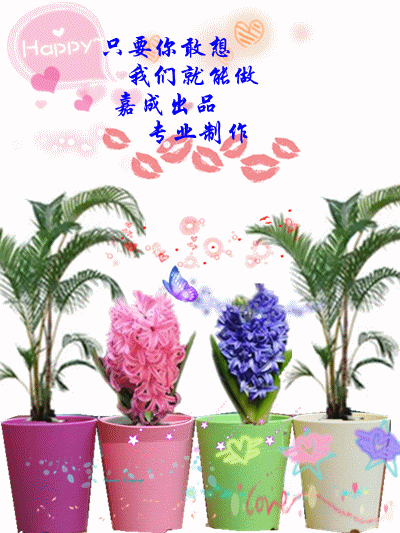 花盆6