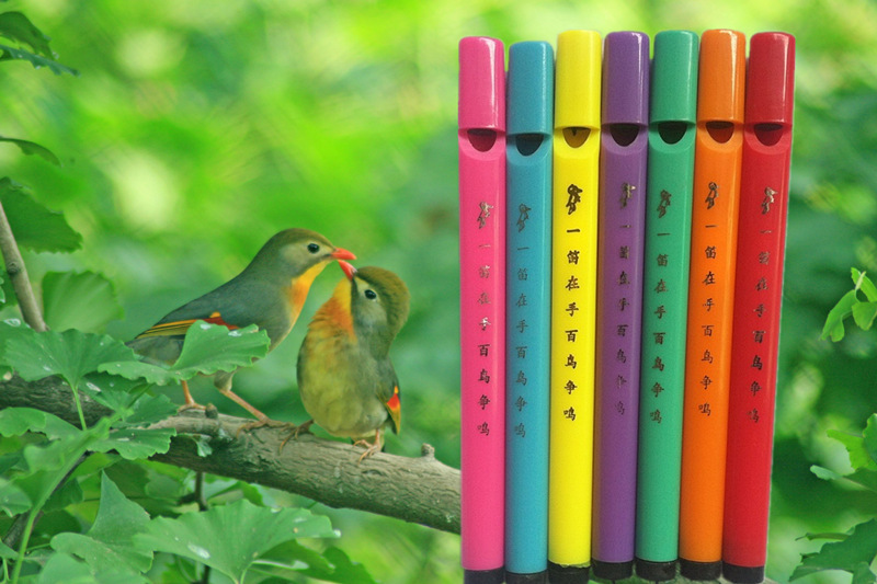 厂家批发 百灵鸟笛 迷你鸟笛 玩具鸟笛 鸟笛批发 风景区地摊热销