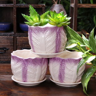 白菜花盆 多肉绿植花盆容器 陶瓷花盆批发 园艺园林盆栽专用8187