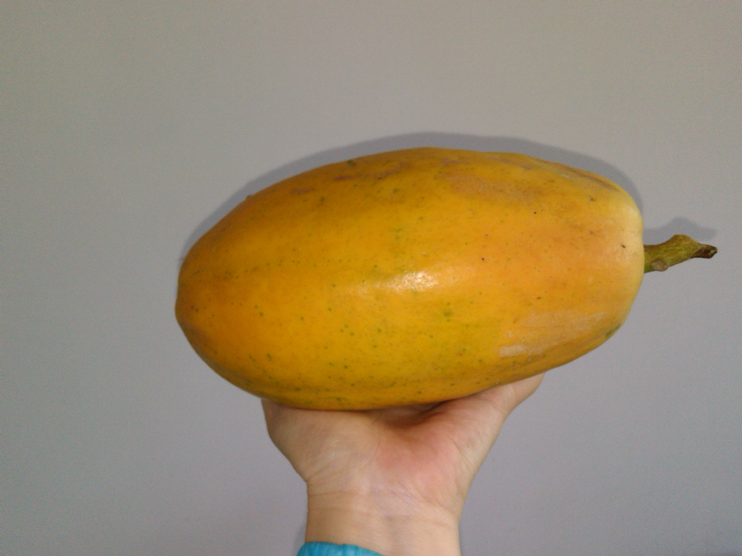 新鲜水果 海南新鲜红心木瓜 水果木瓜 青木瓜 8斤装 多省包邮