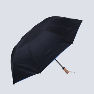 优质钢槽板伞架男士商务雨伞 双层伞面防漏二折伞 便捷自动雨伞