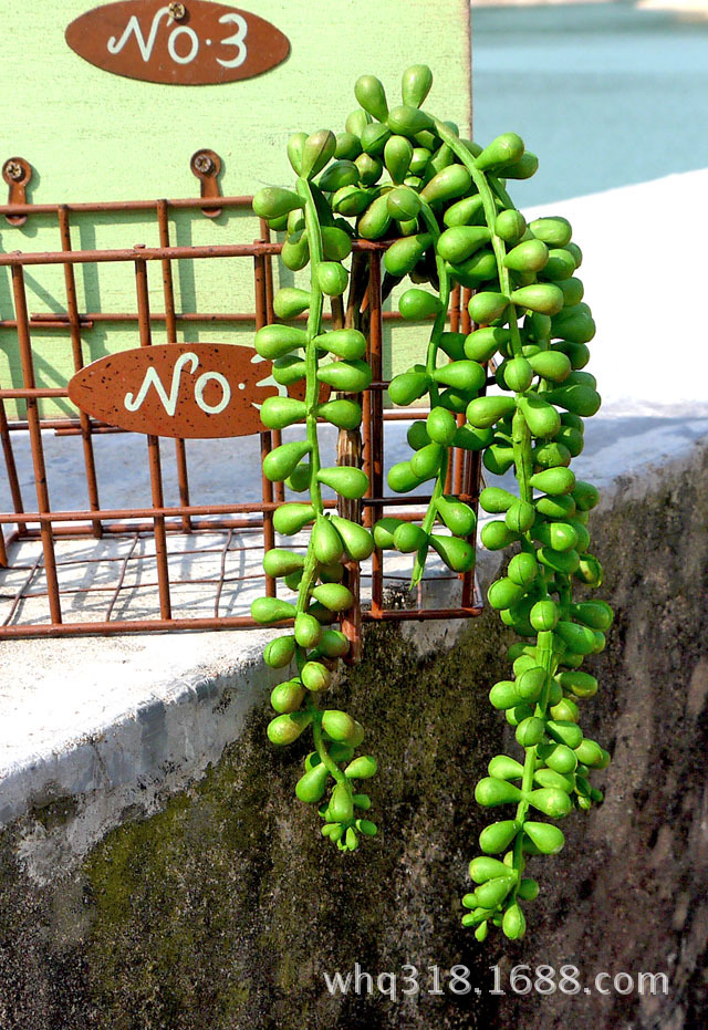 新品促销 家居摆饰仿真植物多肉植物 质感5头情人泪 相思豆hl0195