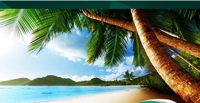 龟牌g-803水晶蜡去污 划痕 上光抛光养护防水防尘 汽车必备蜡