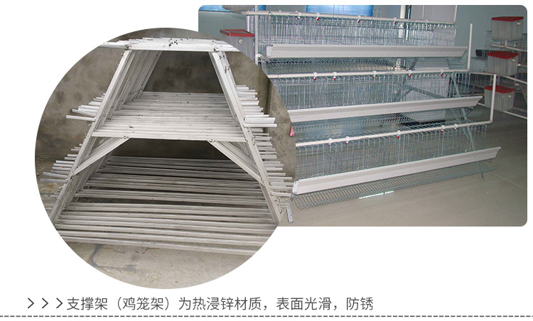 湖北襄阳厂家直销 三层阶梯式蛋鸡笼养殖设备 冷热镀锌鸡笼子养鸡设备