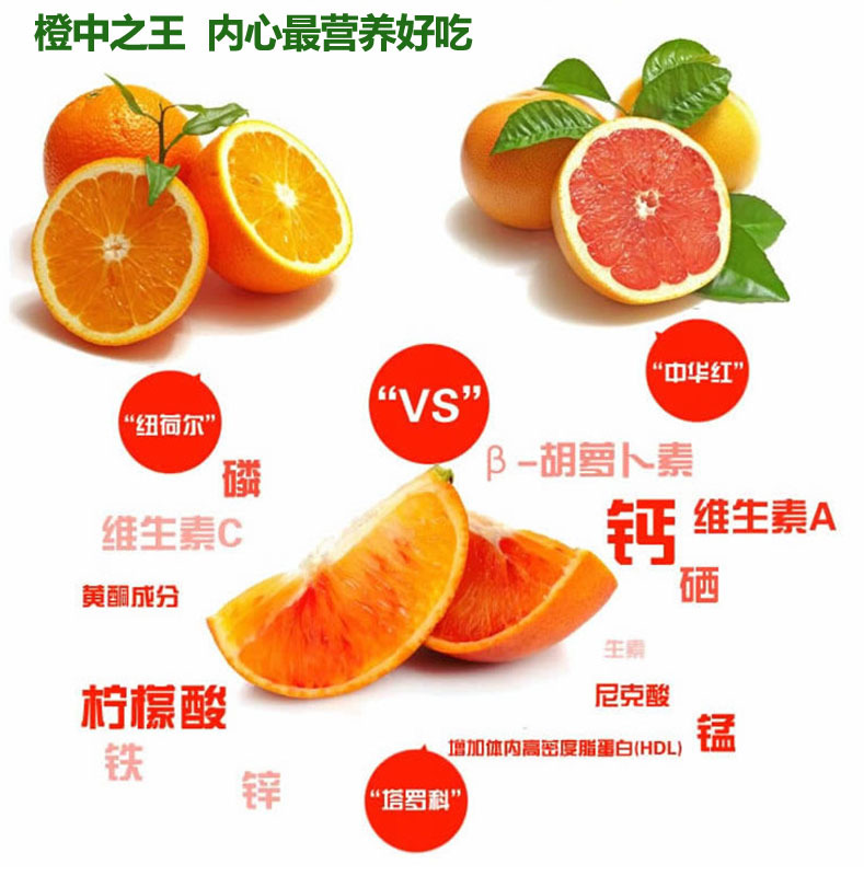 塔罗科血橙礼盒5斤 补血营养橙子 高档新鲜水果超多维c
