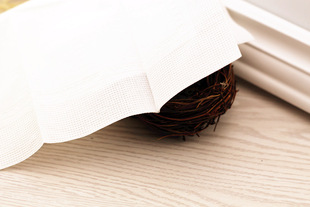 东京食尸鬼 东京喰种周边 吸汗淡香型【干纸巾】一包10片zj028