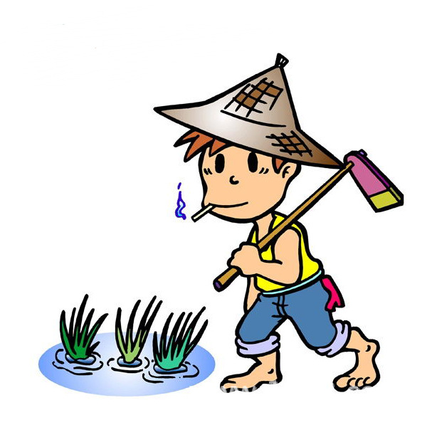 1月31号,今天睡到最晚啦,才吃完饭,开始下地干活啦.