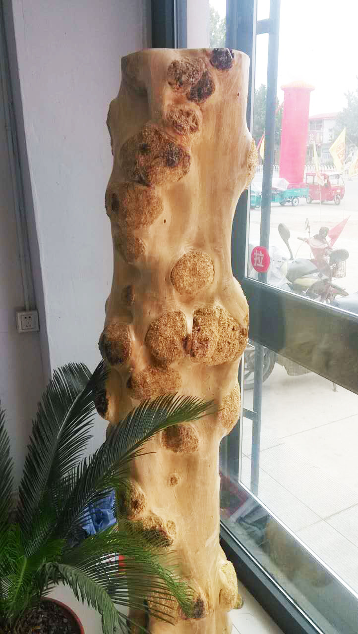 产家直销 槐木根雕木雕 原木花座花架 居家室内特价