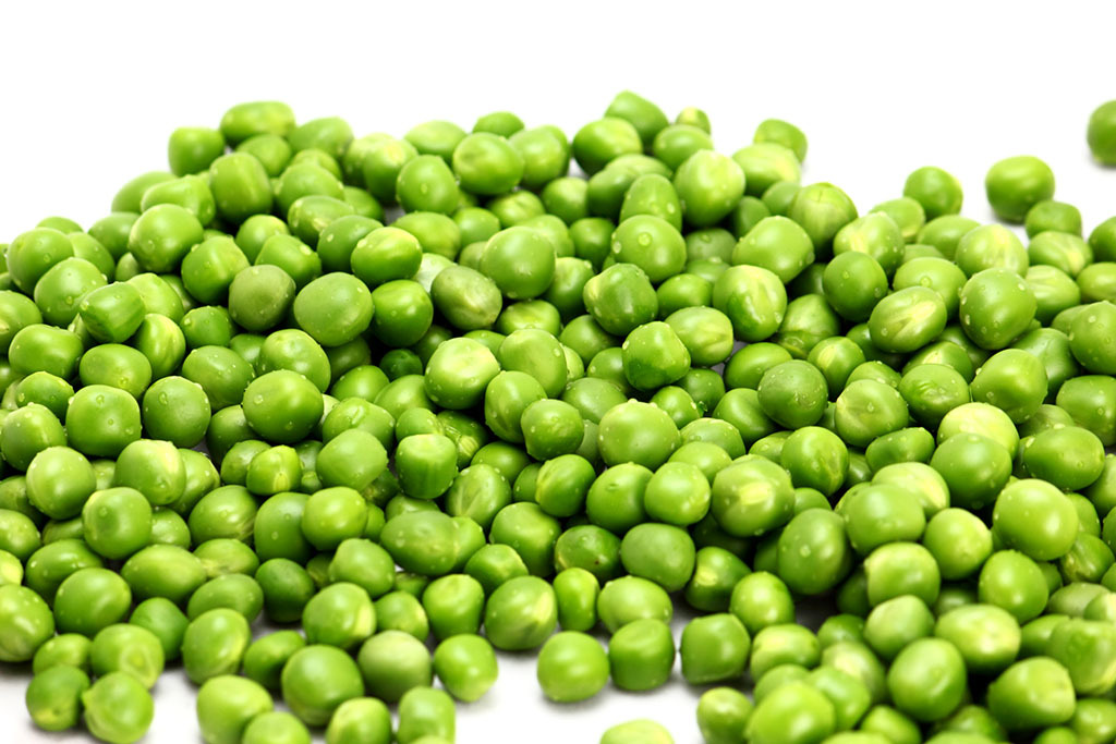 国家备案基地 速冻青豆 iqf green pea