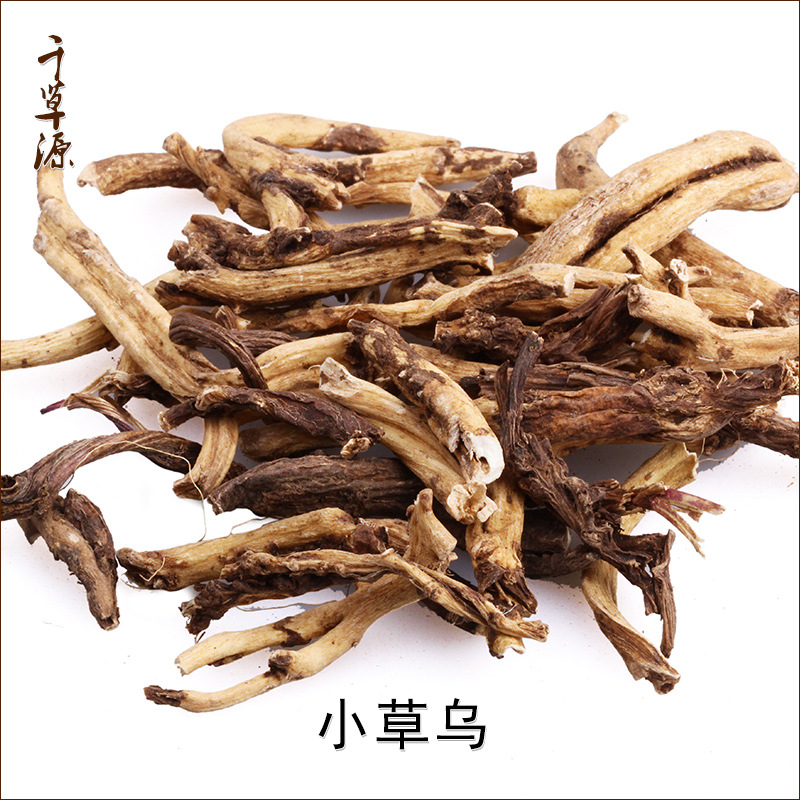 小草乌图片,细草乌图片,云南小草乌_大山谷图库