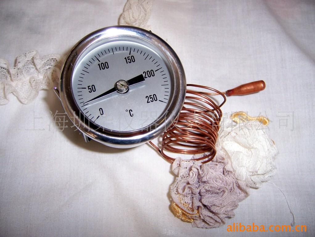 2" 半钢轴向u型夹小温包压力式温度计